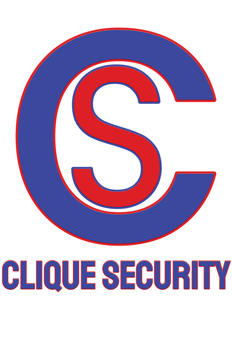 CS — Professional Security Services UK